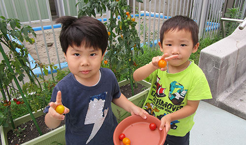 photo21